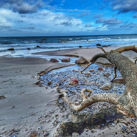 Vila Ostseehaus Am Naturstrand - Ostseeblick Varnkevitz Exteriér fotografie