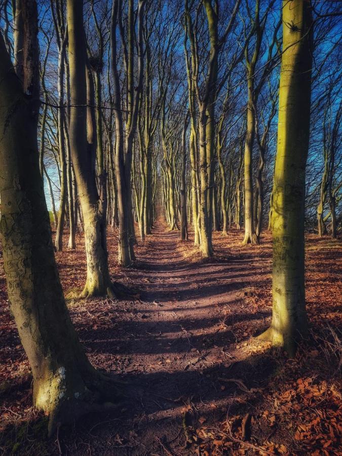 Vila Ostseehaus Am Naturstrand - Ostseeblick Varnkevitz Exteriér fotografie